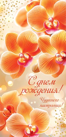 � ���� ��������! (��) (������� �������). �������� �����