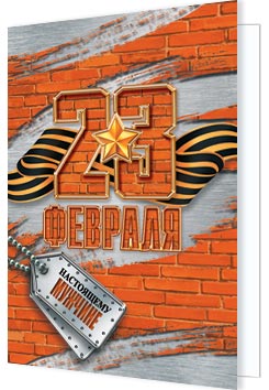 23 ФЕВРАЛЯ. Открытки оптом