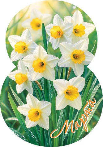 8 �����. �������� �����