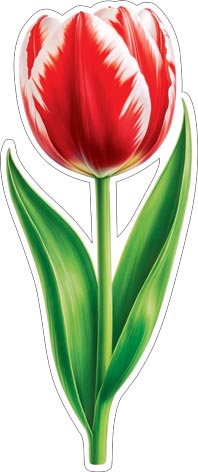 �������� ��� ��������� �� ������. �������� �����